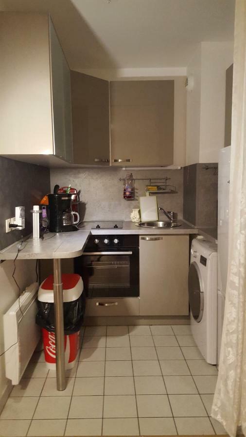Appartement Spacieux Avec Terrasse Pres De Paris Et Du Stade De France Σαιν-Ντενί Εξωτερικό φωτογραφία