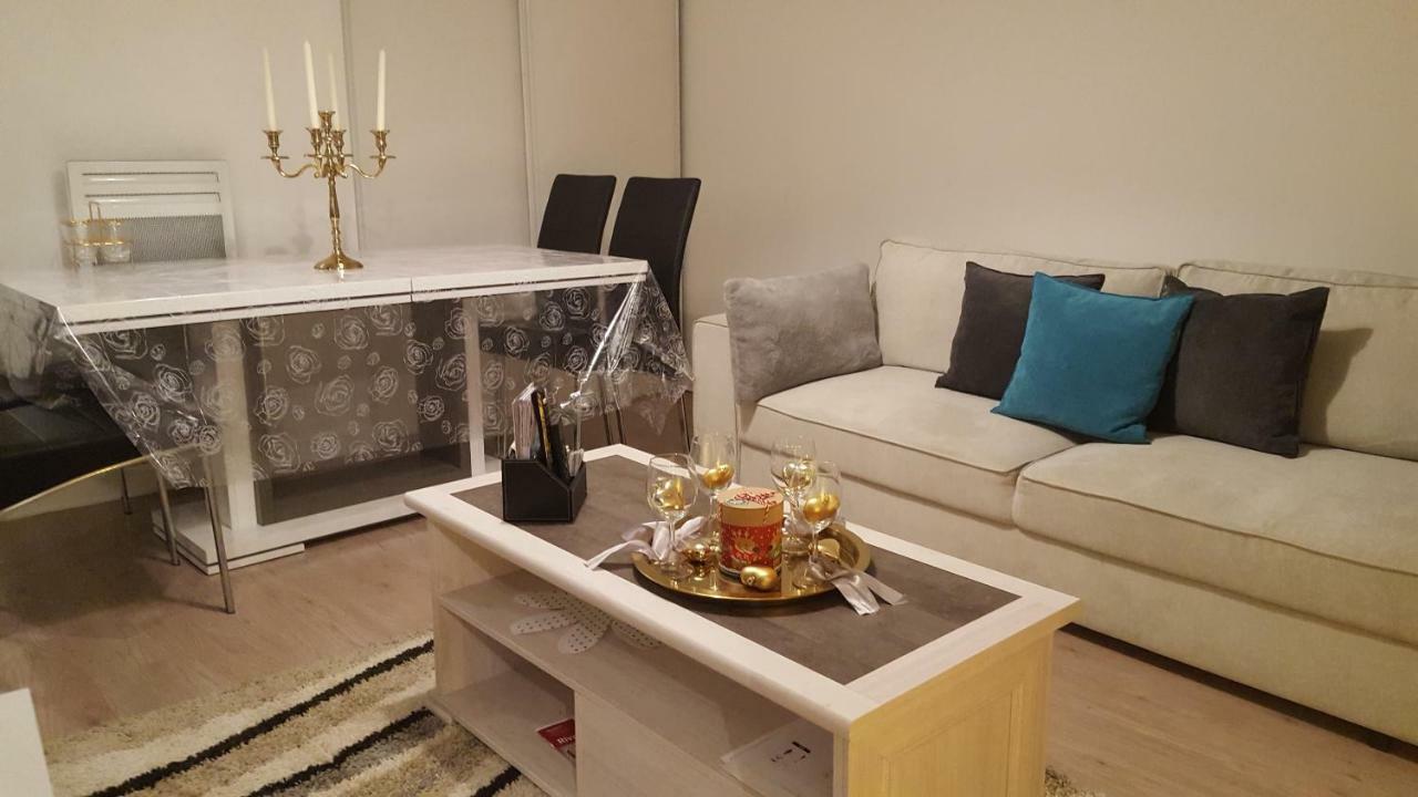 Appartement Spacieux Avec Terrasse Pres De Paris Et Du Stade De France Σαιν-Ντενί Εξωτερικό φωτογραφία