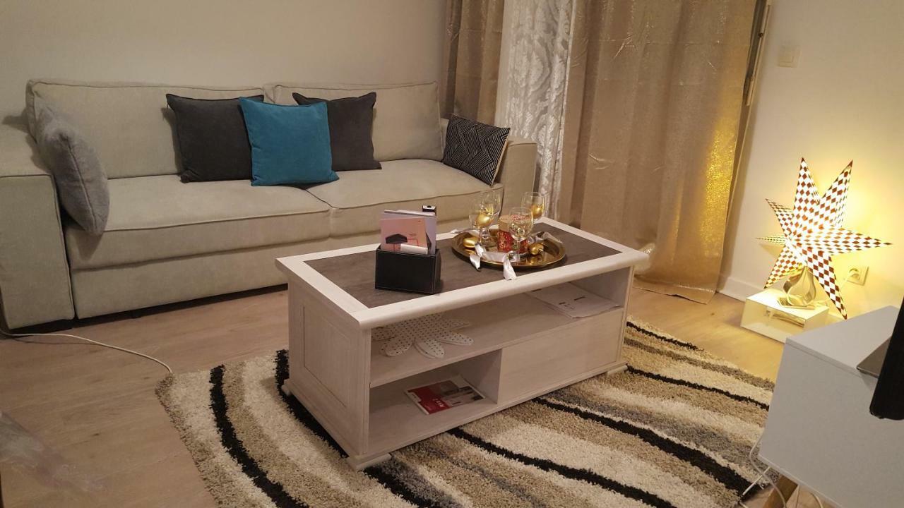 Appartement Spacieux Avec Terrasse Pres De Paris Et Du Stade De France Σαιν-Ντενί Εξωτερικό φωτογραφία