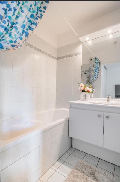 Appartement Spacieux Avec Terrasse Pres De Paris Et Du Stade De France Σαιν-Ντενί Εξωτερικό φωτογραφία